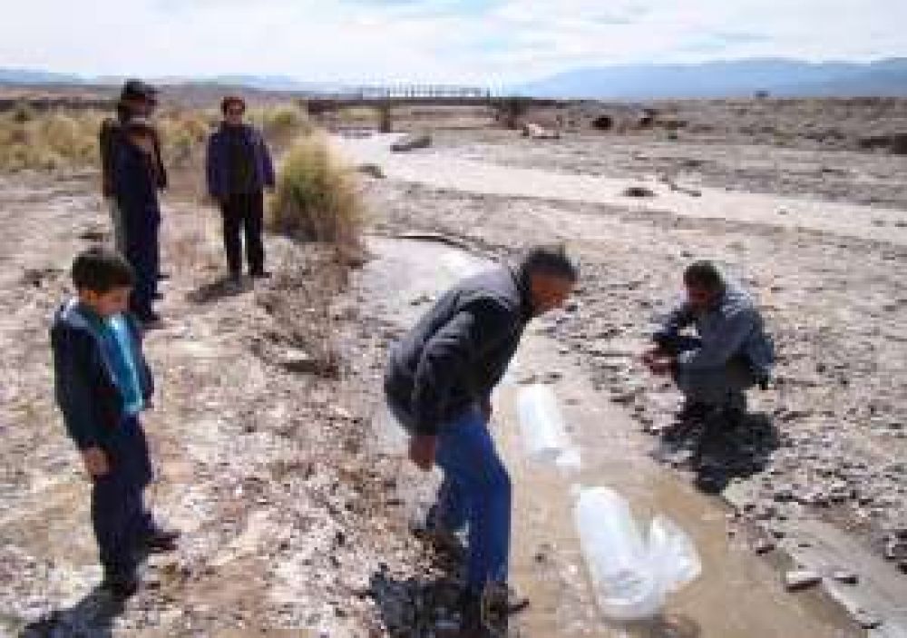 Sembraron peces para oxigenar el agua del r�o