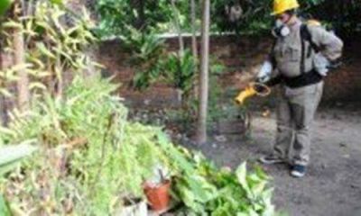 Brigadas sanitarias avanzan contra el dengue y la leishmaniasis