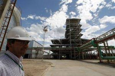 La producci�n nacional de biodiesel baj� un 40% por la ca�da de la demanda internacional