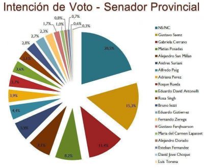 Intenci�n de votos para senador provincial