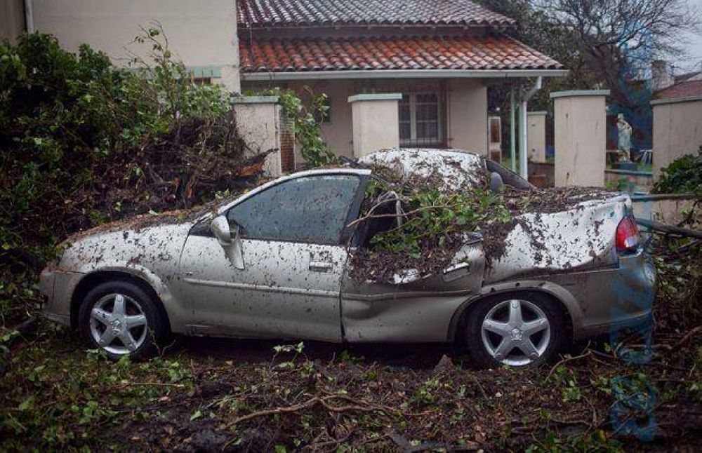 M�s de 30 evacuados, �rboles ca�dos y calles inundadas por el temporal de viento y lluvia