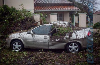 M�s de 30 evacuados, �rboles ca�dos y calles inundadas por el temporal de viento y lluvia