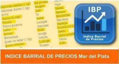 �Una familia marplatense necesita casi 4 mil pesos para no ser pobre�