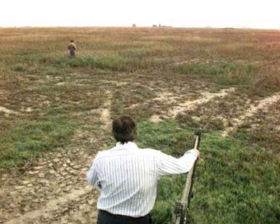 El Gobierno de la Provincia decret� el estado de emergencia agropecuaria