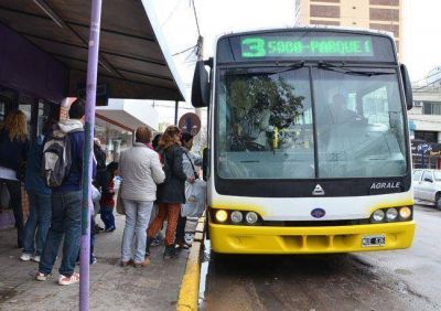 Colectivos inaccesibles: las ONG reclaman un plazo para que el municipio cumpla