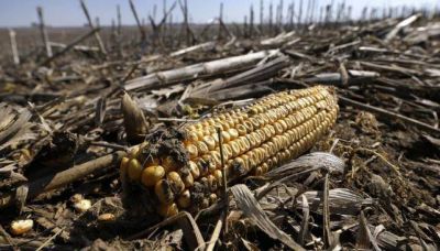 En alerta: van 105 mil hect�reas serranas quemadas y sigue el riesgo extremo