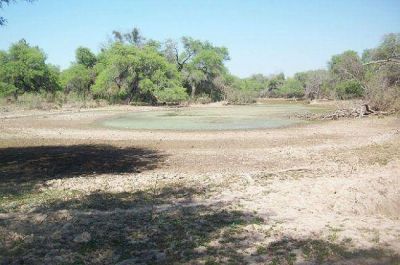 Solicitan al Ejecutivo declarar la emergencia agropecuaria por 180 d�as
