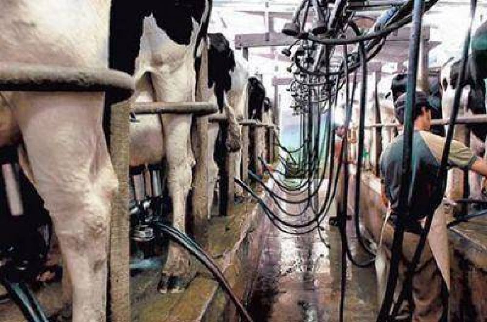 Productores lecheros de Entre Ros recibieron fondos de la nacin
