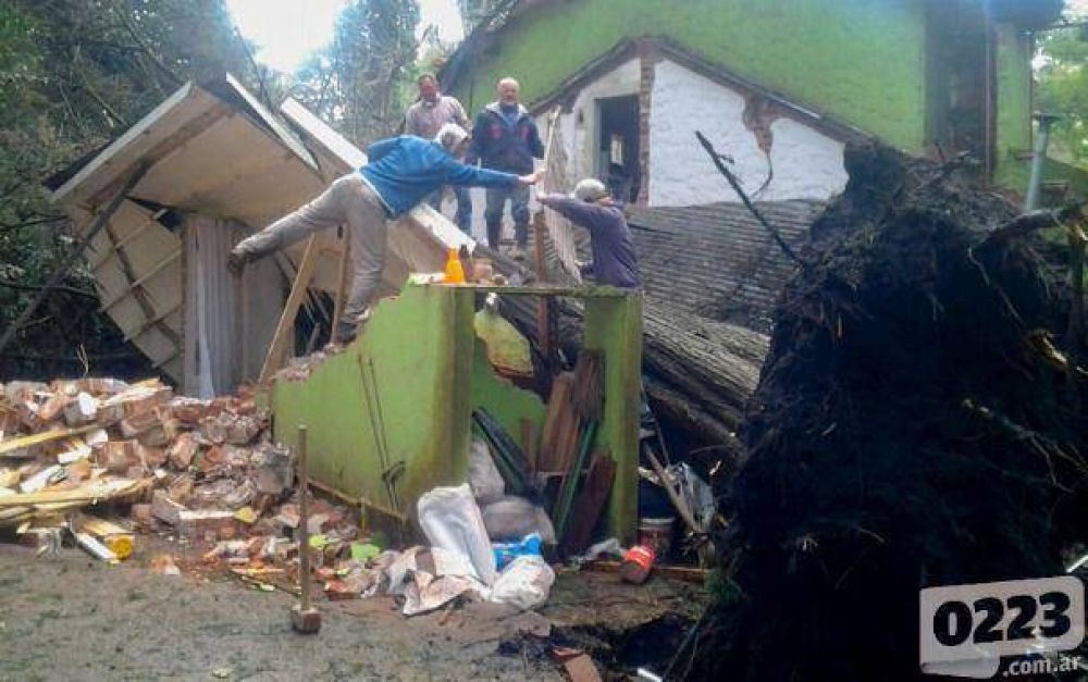 De pel�cula: un �rbol destruy� una casa