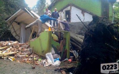 De pel�cula: un �rbol destruy� una casa