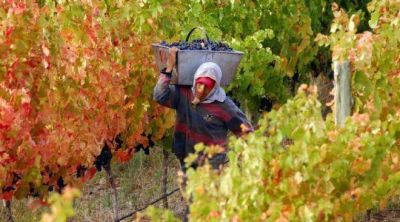 Salta aprovecha sus recursos y crece al ritmo fuerte de la producci�n de la tierra, el petr�leo y el turismo
