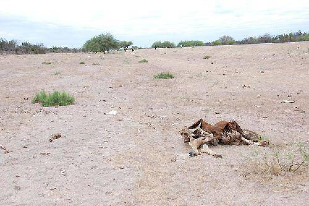 El Gobierno decret� la Emergencia Agropecuaria en Santiago del Estero