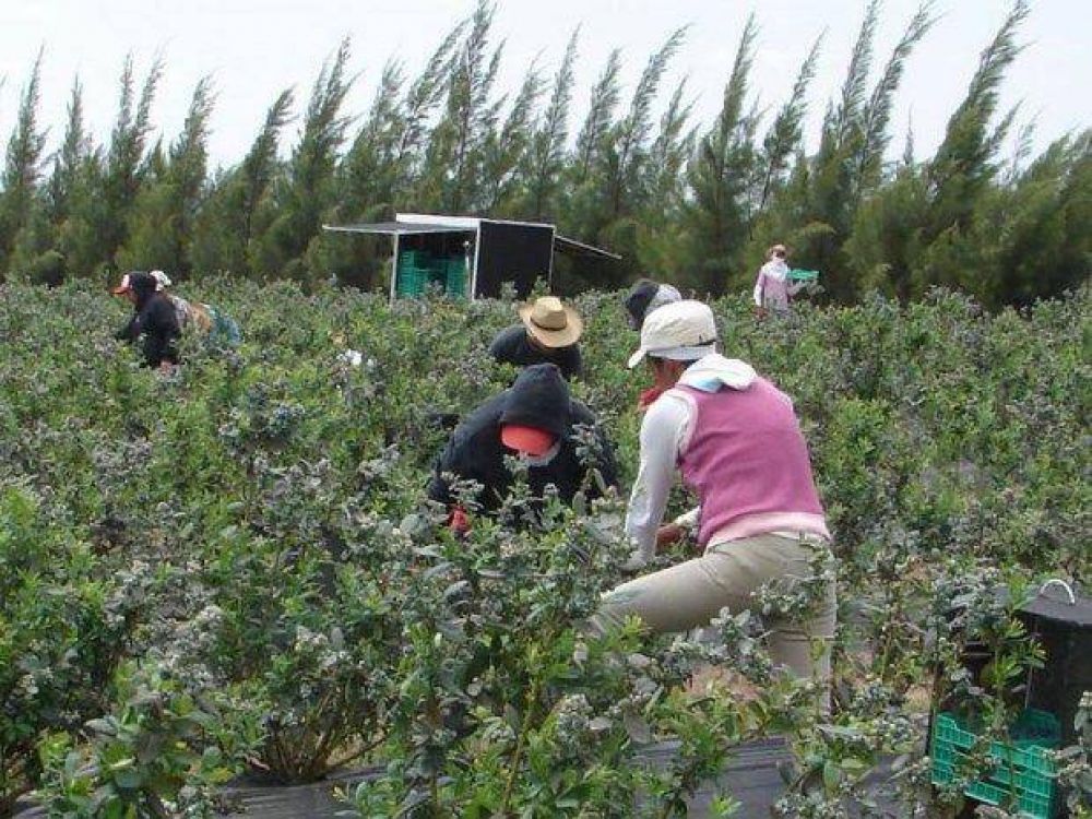 La mitad de los peones rurales del NOA est� en negro