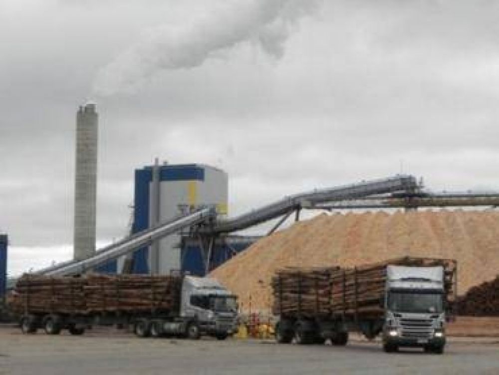 La ex Botnia va por m�s: "El objetivo son 1,3 millones de toneladas" de celulosa