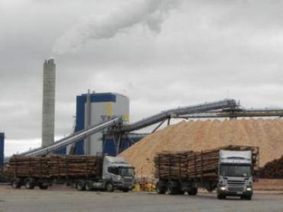 La ex Botnia va por m�s: "El objetivo son 1,3 millones de toneladas" de celulosa