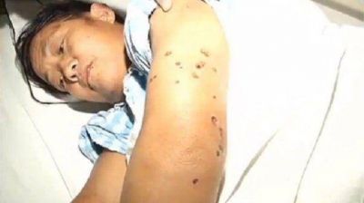 China: 41 muertos por una epidemia de avispas gigantes asesinas