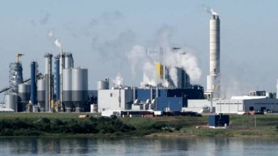 En medio del conflicto por la ex Botnia, avanza en Uruguay la instalaci�n de una nueva pastera
