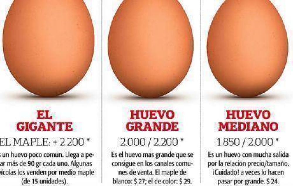 Quieren que comamos un huevo por d�a
