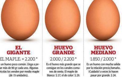 Quieren que comamos un huevo por d�a