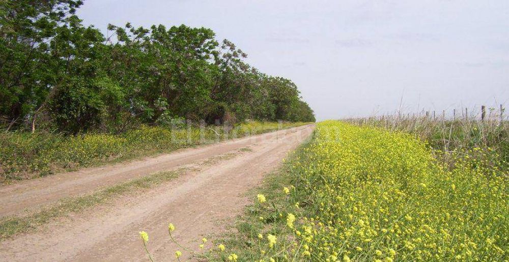 Ataliva: mejoran caminos rurales y la plaza 25 de Mayo