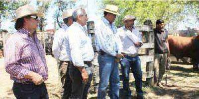 Quintana:�Ayudamos con todo lo que est� al alcance a productores�