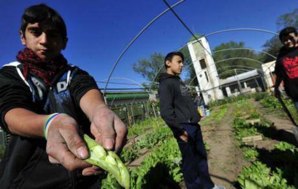 La escuela en que cada alumno tiene una peque�a huerta