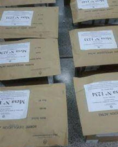Elecciones PASO en Salta: Gustavo S�enz, Gabriela Cerrano y Andr�s Suriani encabezan el escrutinio del 90% de las mesas