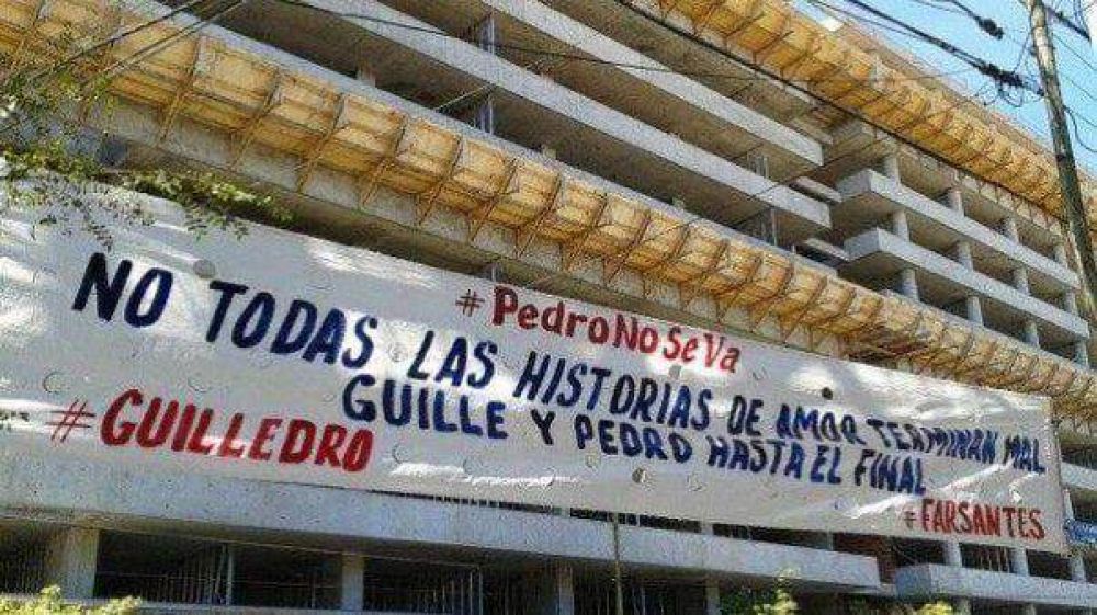 Las fans de "Farsantes" se movilizan para que Vicu�a no deje la tira   