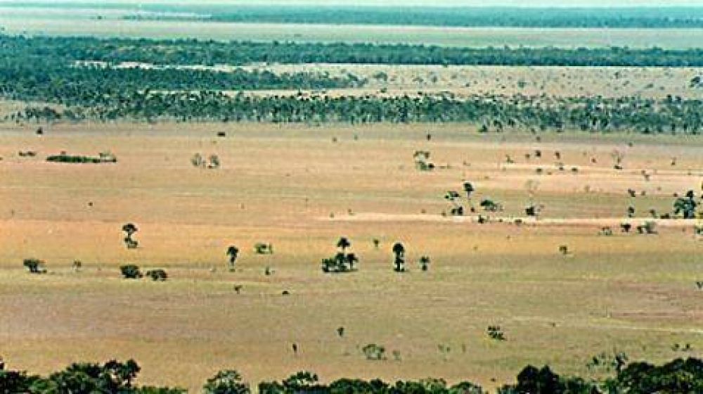 Coca-Cola y Pepsi acusadas de acaparamiento ilegal de tierras