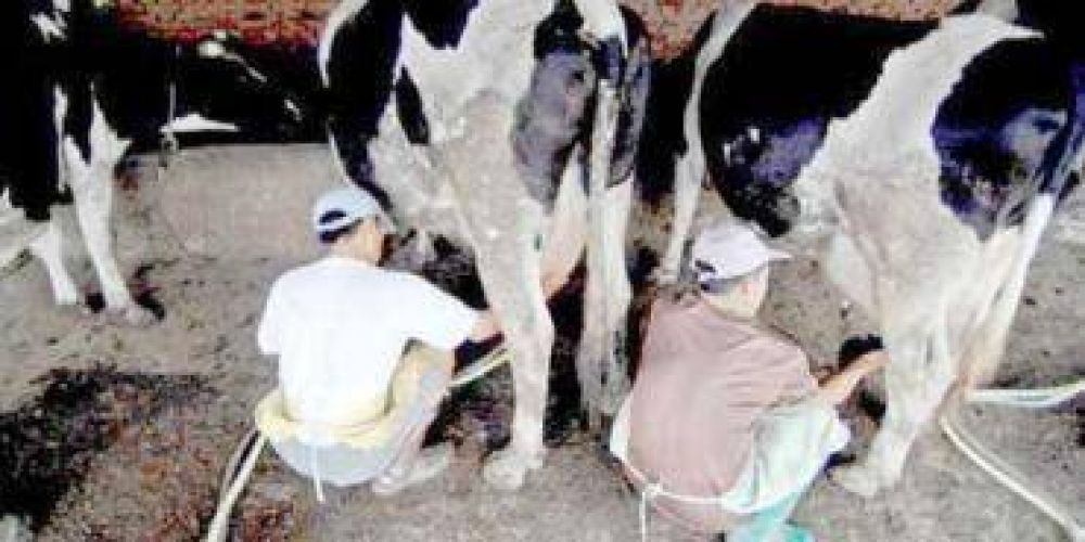 Entregan fondos a peque�os productores tamberos