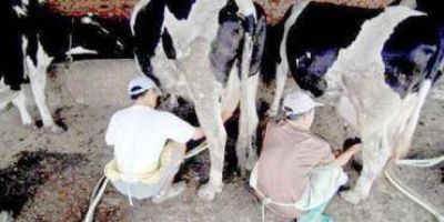Entregan fondos a peque�os productores tamberos