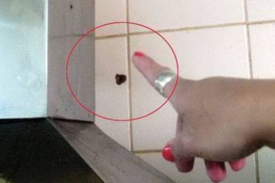A los tiros huy� un ladr�n tras asaltar una hoster�a