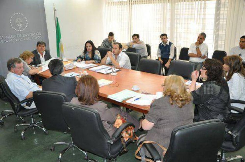 Comenz� el debate sobre el juicio por jurados en el Chaco