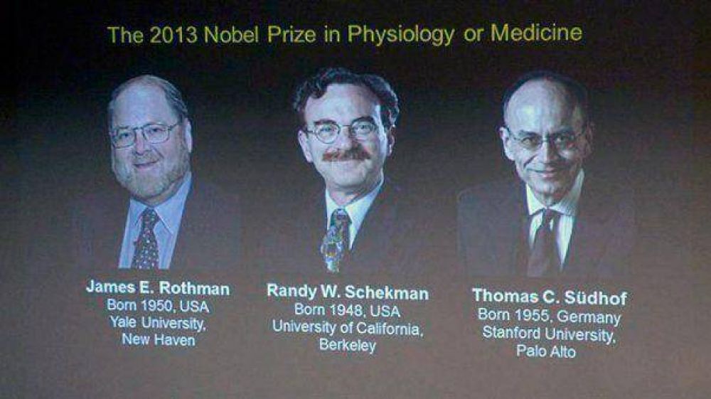 Dan el Nobel de Medicina a dos estadounidenses y un alem�n