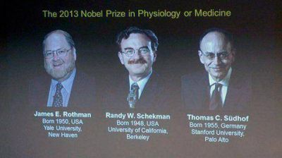 Dan el Nobel de Medicina a dos estadounidenses y un alem�n