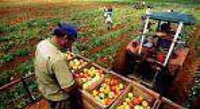 Encuentro de Agricultores Familiares en Jujuy