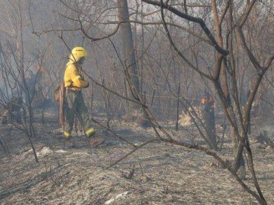 En el Ramal persisten los incendios forestales
