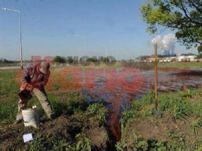 Ambientalistas cuestionan la inacci�n por vuelco industrial