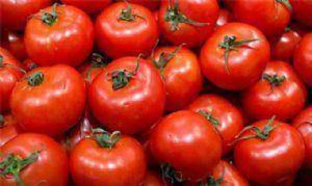 El tomate sigue subiendo y ya cuesta $40 el kilo