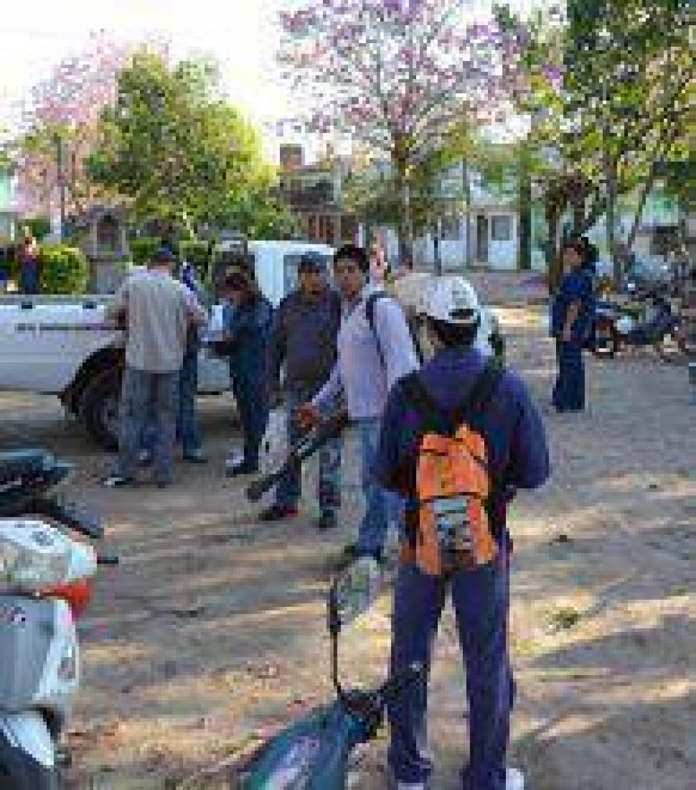 Contra el dengue