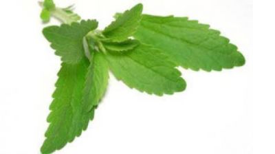 PepsiCo solicita patente de mtodo para mejorar solubilidad de la stevia Red D
