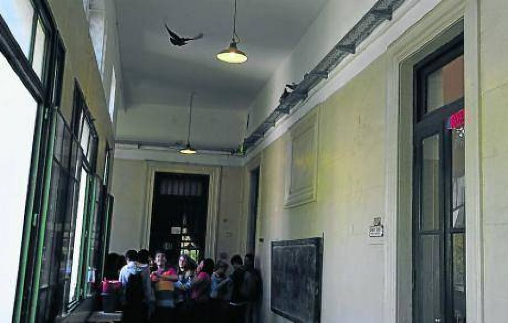 Las palomas se apoderaron del colegio Carb�