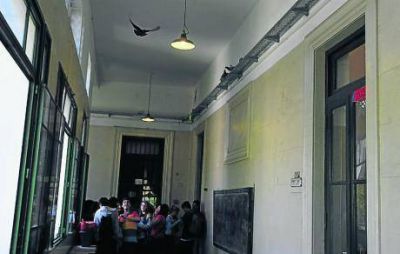 Las palomas se apoderaron del colegio Carb�
