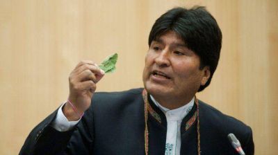 Bolivia: encarcelan funcionario cercano a Morales por desviar hojas de coca