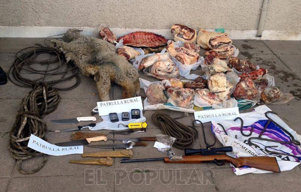 Secuestraron carne y armas por un abigeato donde carnearon 22 ovejas