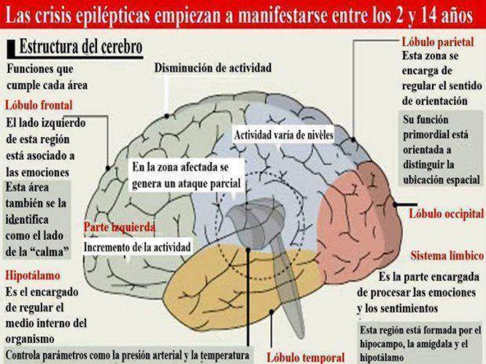 Las personas con epilepsia siguen en la espera por una cobertura m�dica integral