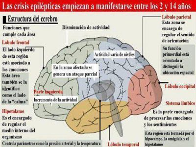 Las personas con epilepsia siguen en la espera por una cobertura m�dica integral