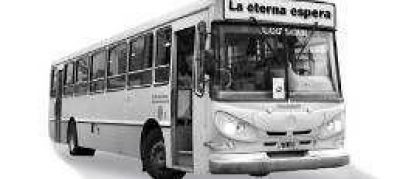 Ya hay cuatro l�neas de colectivos que no circulan durante la noche