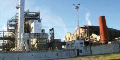 Incineran 13 mil kilos de drogas