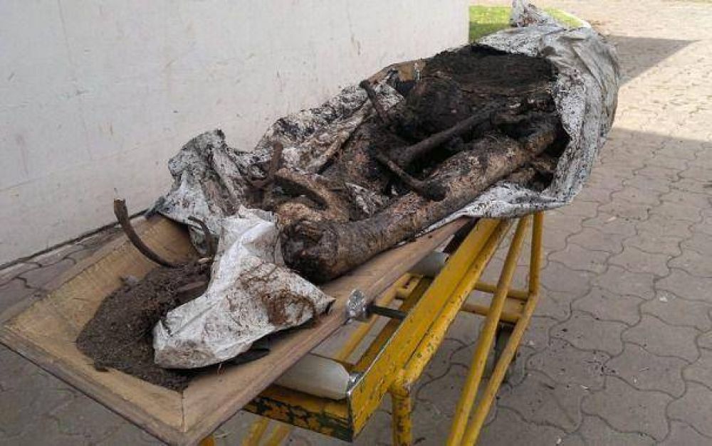 Cementerio Parque: denuncian que creman cuerpos violando la normativa